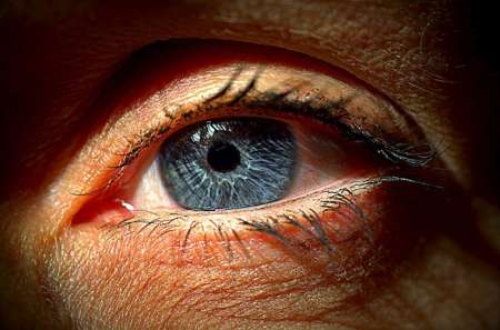 Voyeur coquin ....