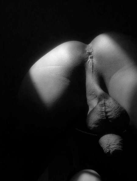  sacha féline — photo 4