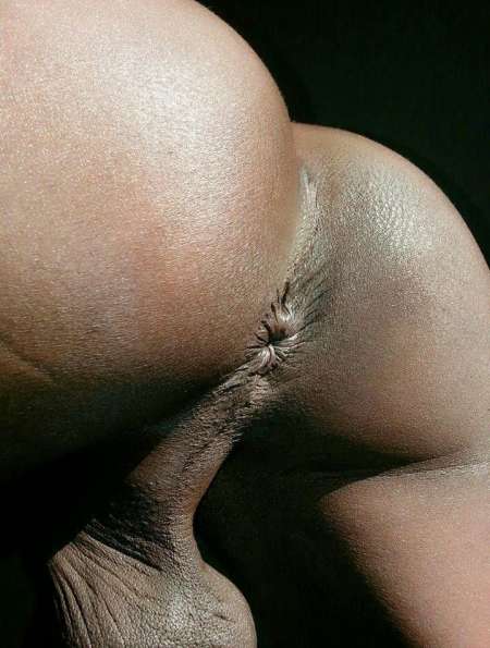  sacha féline — photo 7
