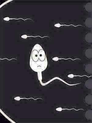 À votre service mes dames 