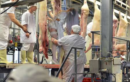 Salope en robe de mariée à conduire à l'abattoir — photo 3