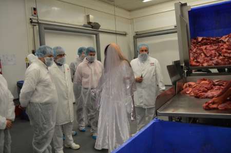 Salope en robe de mariée à conduire à l'abattoir — photo 5