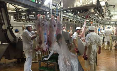 Salope en robe de mariée à conduire à l'abattoir — photo 6