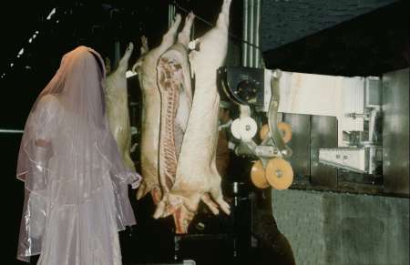 Salope en robe de mariée à conduire à l'abattoir — photo 7