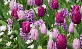 LE MASSAGE = LA CLE DU BIEN-ETRE — photo 4