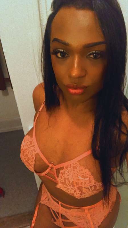 Pamela belle trans blak — photo 4