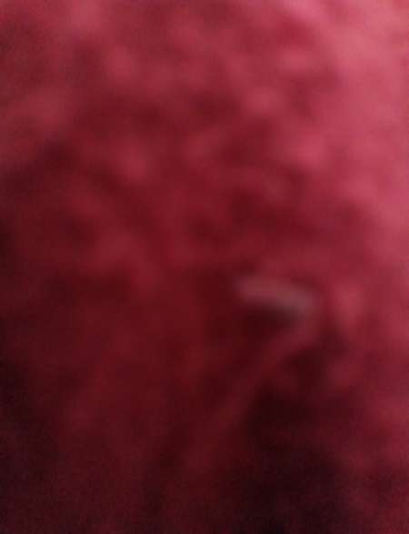 Je recherche un moneyslave ou un sugardaddy