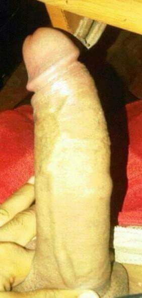 VIP BELLE TRANSEXUELLE ANGELINA — photo 5