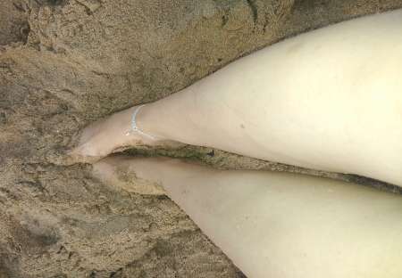 des nudes contre rémunération