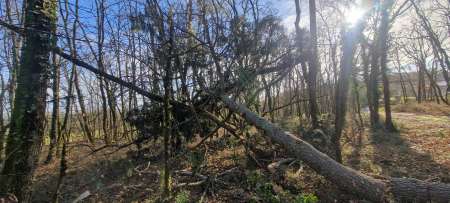 H pour f en pleine nature — photo 2