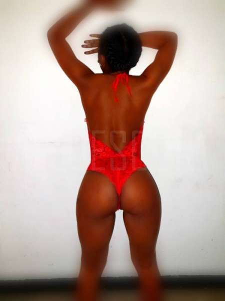 Miss croque