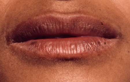 cherche modèles — photo 5