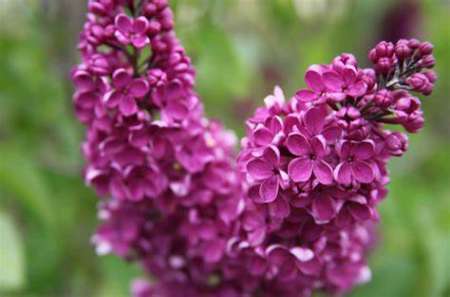 PREND SOIN TOIiiiiiiii