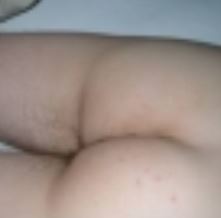 Lope à jus pour abattage — photo 2