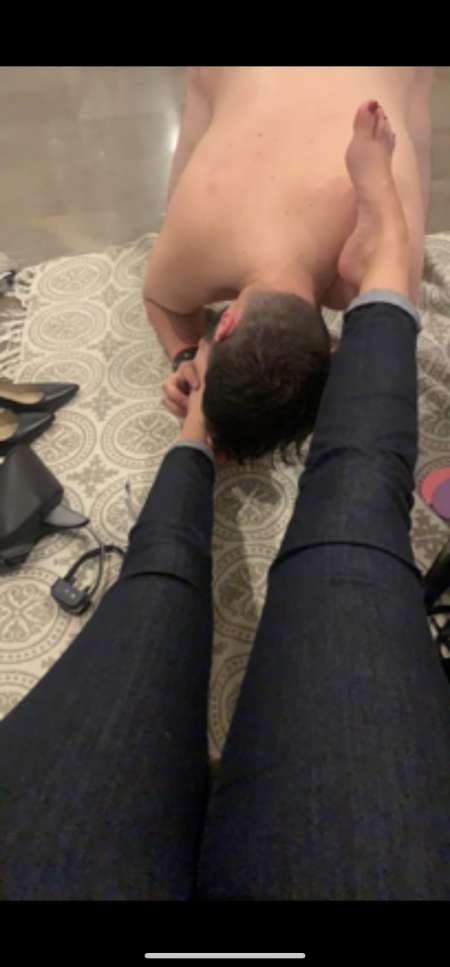 Queen cherche son Beau Toutou ! — photo 2