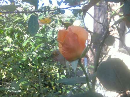 Homme recherche couple mari candauliste