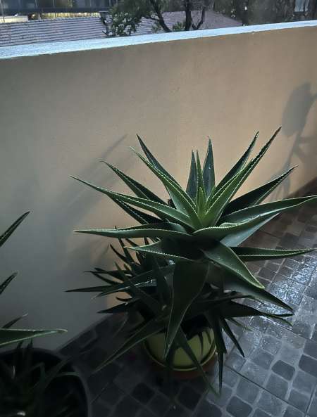 recherche femme pour partager moment agréable