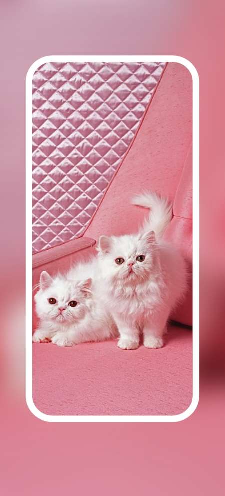 Recherche femme marié