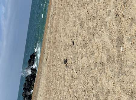  Homme disponible à découvrir