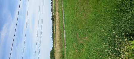  Homme cherche femme pour exhib