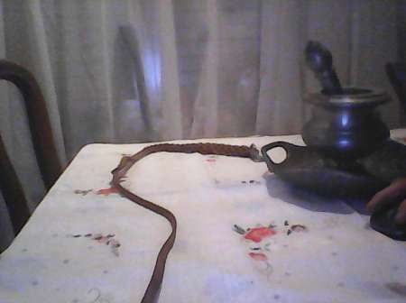 h maso sans tabous reçois