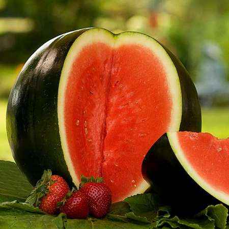 Jeune Sugga Daddy recherche être féminin ...