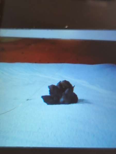 Recherche vielle filles sexe uro scat durable — photo 2