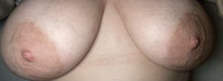  Coquins coquinoux — photo 2