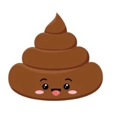 H BCBG pour dame adepte de champagne caviar