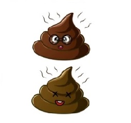 H BCBG pour dame adepte de champagne caviar — photo 4