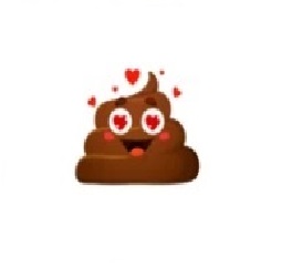 H BCBG pour dame adepte de champagne caviar — photo 5