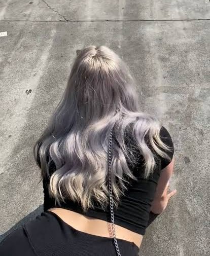 une chienne en chaleur — photo 3