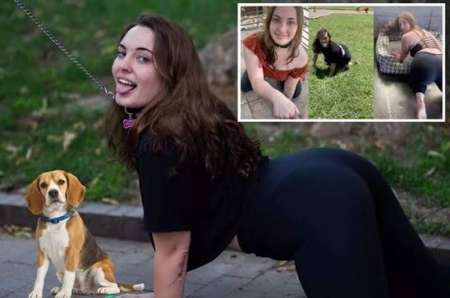 une chienne en chaleur — photo 4