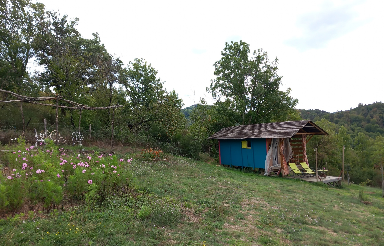 Sauna et massage dans la forêt — photo 3