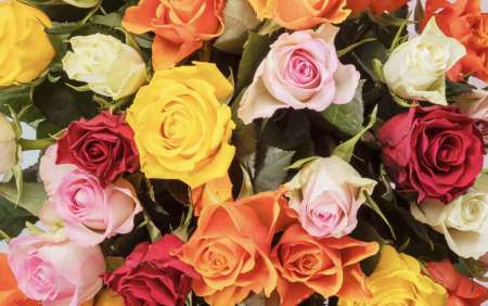 H De Lyon souriant &amp; respectueux pour JF de Lyon