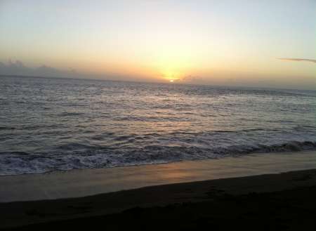  Travestie Complicité Découverte Evasion