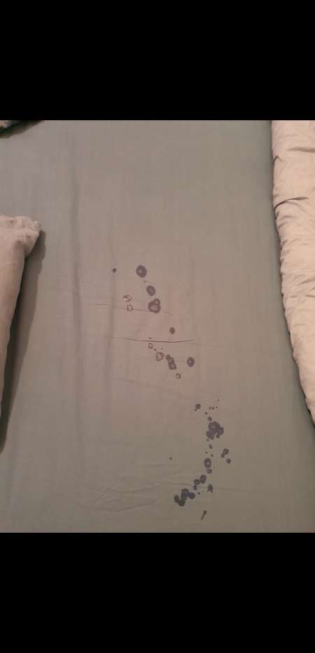 cherche draps sales
