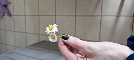  Jeune f cherche jeune f SOUMISE