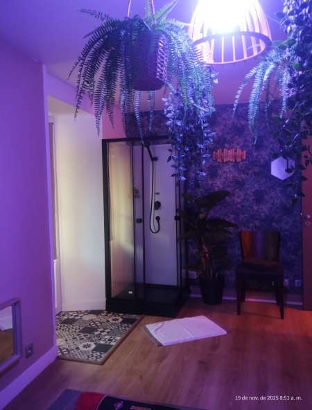 Selon de massages ouvert — photo 2