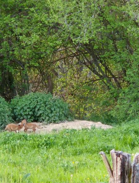 Pour femmes d'âge mûr insatisfaite