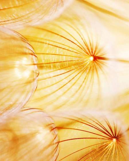 pour femme joindre l'utile à l agréable