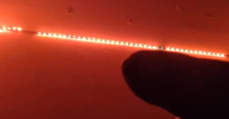  Propose queu 16cm à la première venue