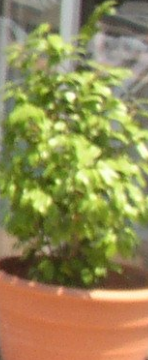 Homme en couple recherche femme en couple