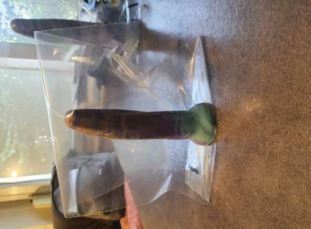  DILDOS Qualité Premium NEUFS — photo 6