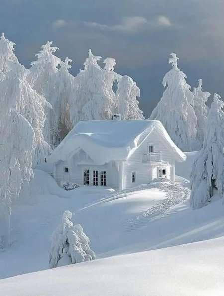 Cherche deux vieux pour scénarios