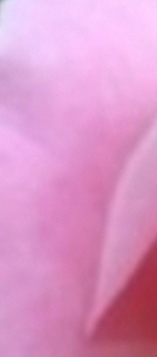 Pour femme qui veut joindre l'utile à l agréable