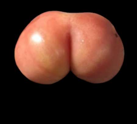 Hétéro cherche gars bien monté pour me dépuceler