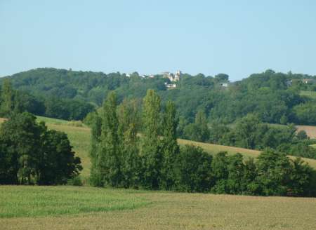 soumis pour dominatrice