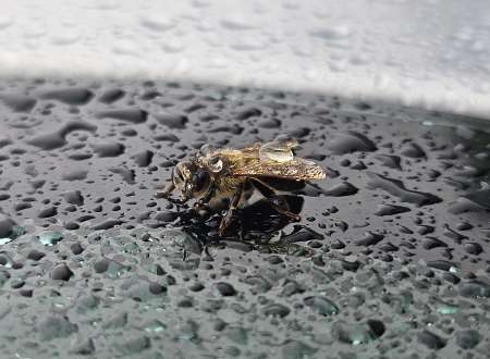 Pour femme de 18 as 80 ans