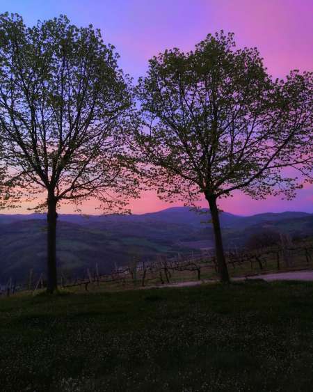 L'Éveil des Sens : Parenthèse de Soie